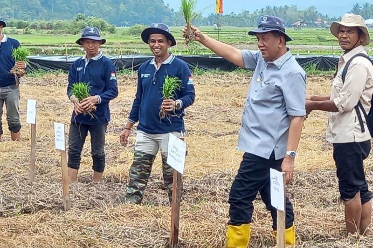 Kegiatan Kolaborasi Peningkatan Gizi